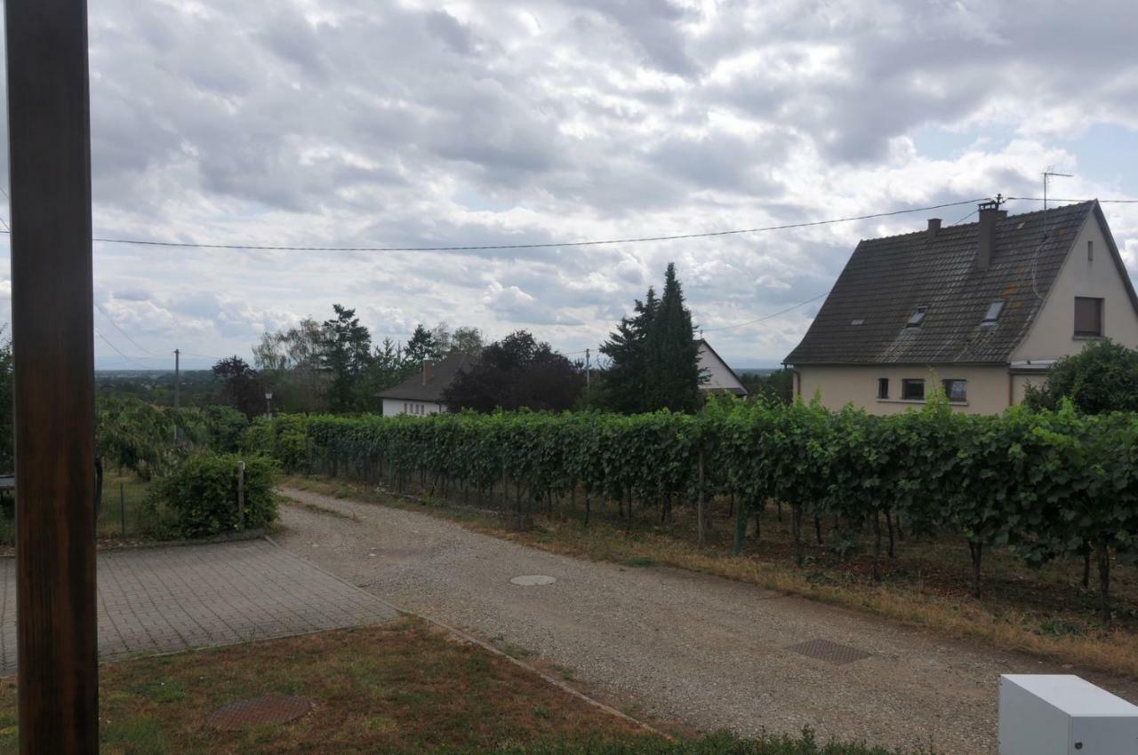Les Cerisiers Vila Bernardswiller Exterior foto